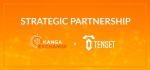 Giełda Kanga Exchange pozyskała inwestora strategicznego. Tenset kupił 2,1 mln tokenów KNG