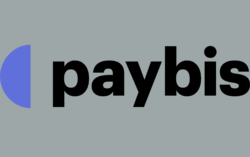 Paybis